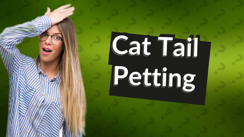 Cat Tail Petting