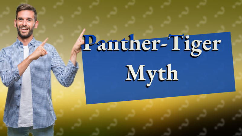 Panther-Tiger Myth