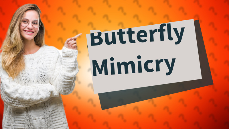 Butterfly Mimicry
