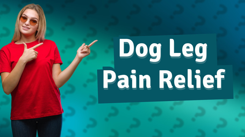 Dog Leg Pain Relief