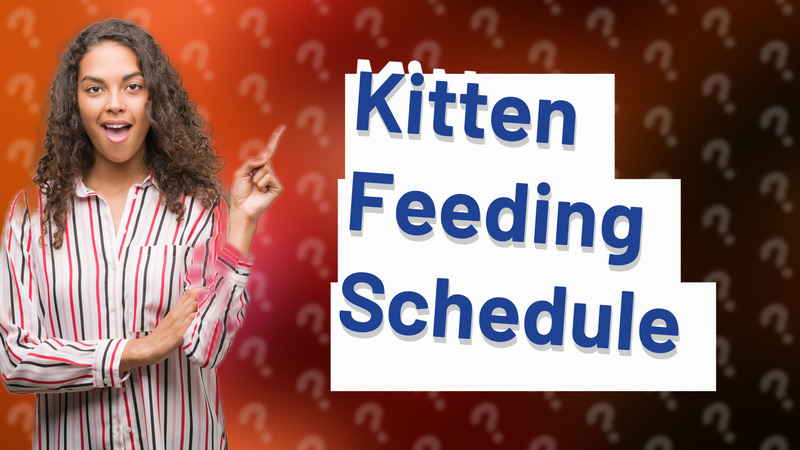 Kitten Feeding Schedule