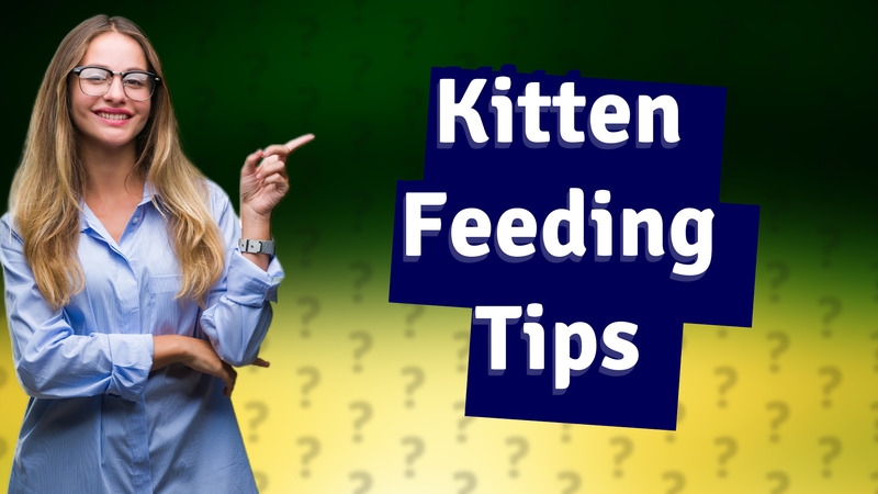 Kitten Feeding Tips