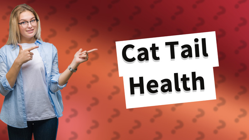 Cat Tail Health