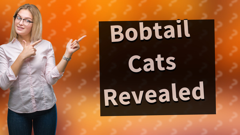 Bobtail Cats Revealed