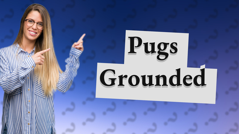 Pugs Grounded