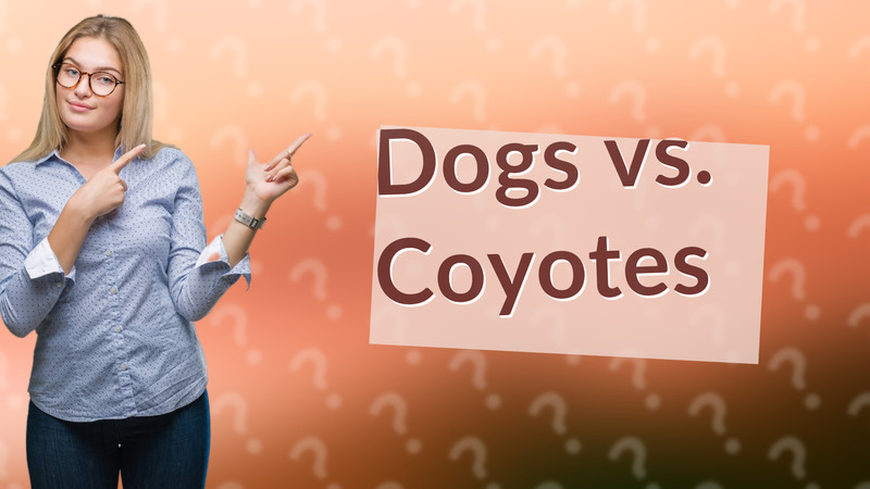 Dogs vs. Coyotes