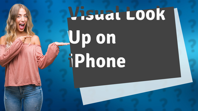 Visual Look Up on iPhone