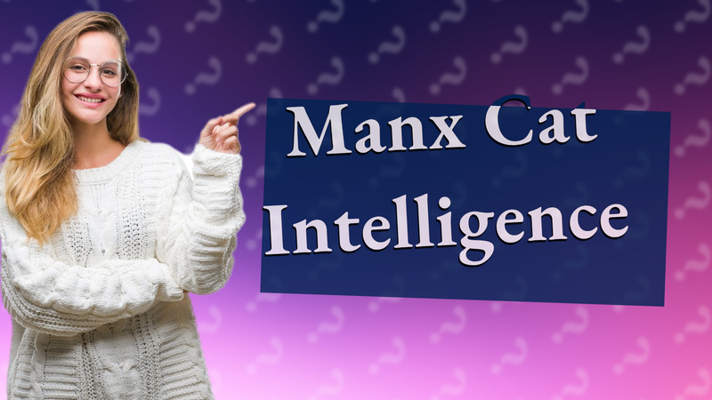 Manx Cat Intelligence