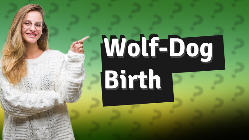 Wolf-Dog Birth