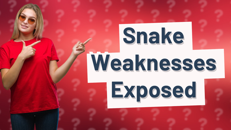 Snake Weaknesses Exposed