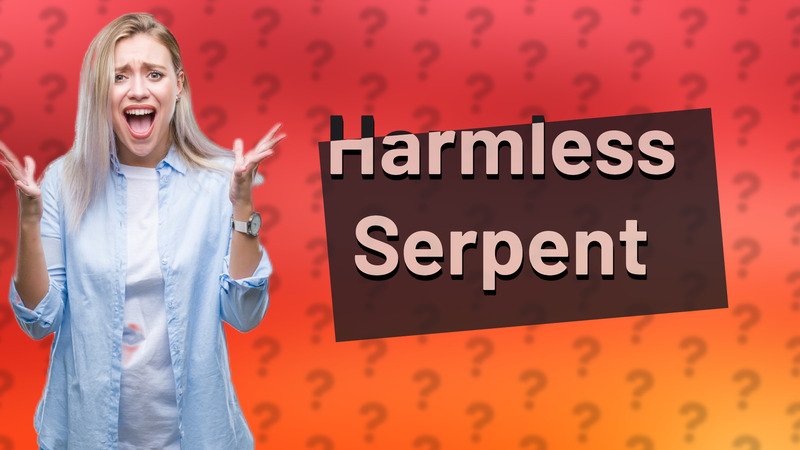 Harmless Serpent