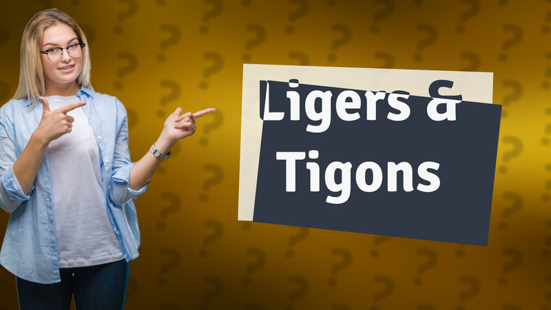 Ligers & Tigons