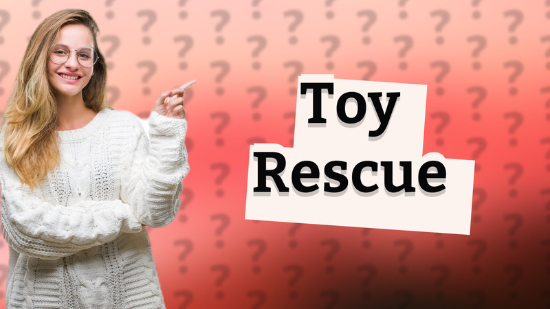 Toy Rescue