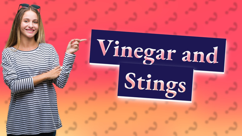 Vinegar and Stings