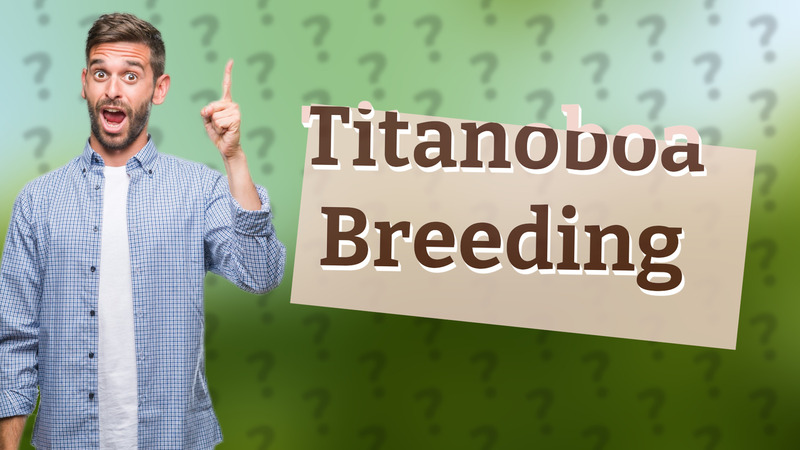 Titanoboa Breeding