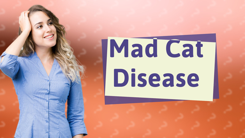 Mad Cat Disease