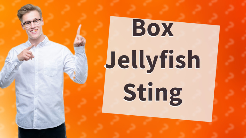 Box Jellyfish Sting