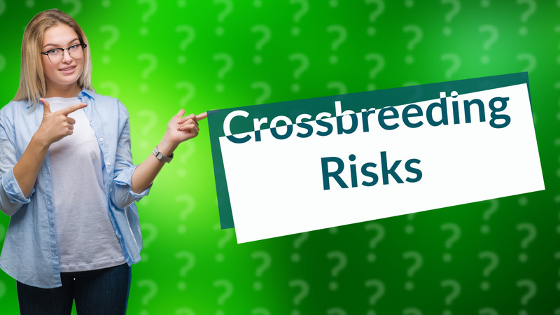 Crossbreeding Risks