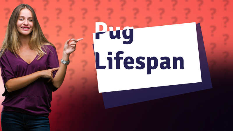 Pug Lifespan