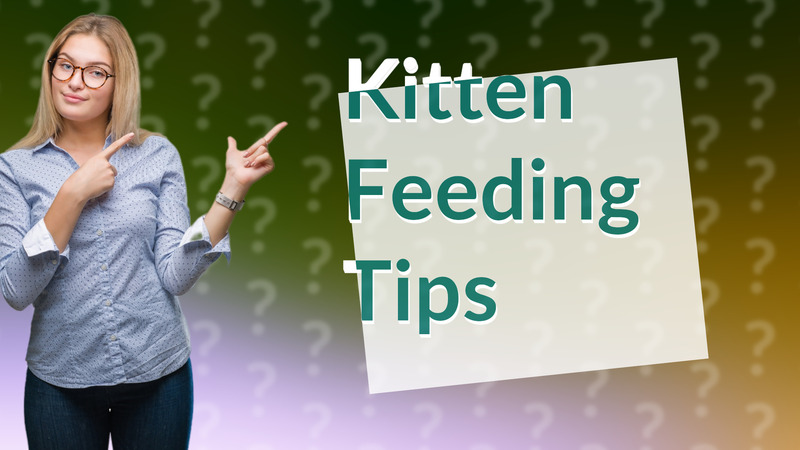 Kitten Feeding Tips