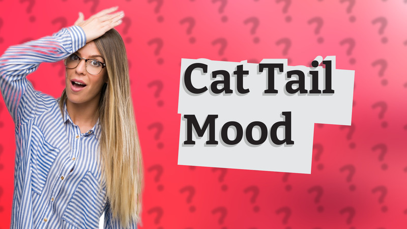 Cat Tail Mood