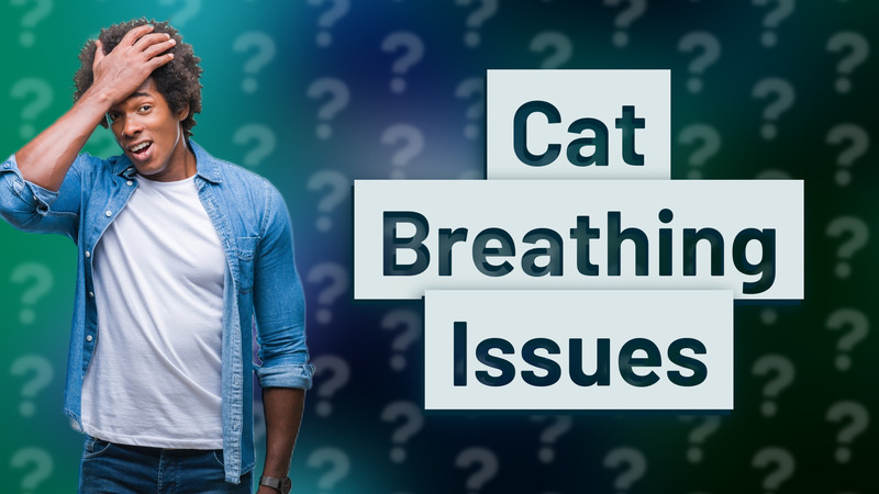 Cat Breathing Issues