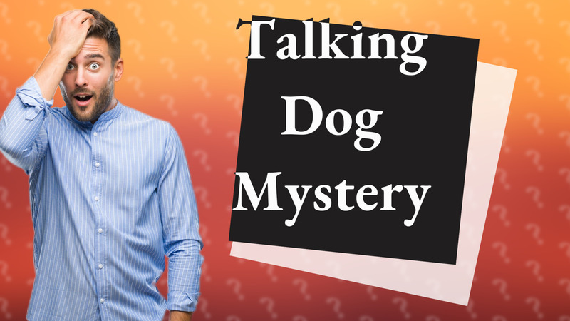 Talking Dog Mystery