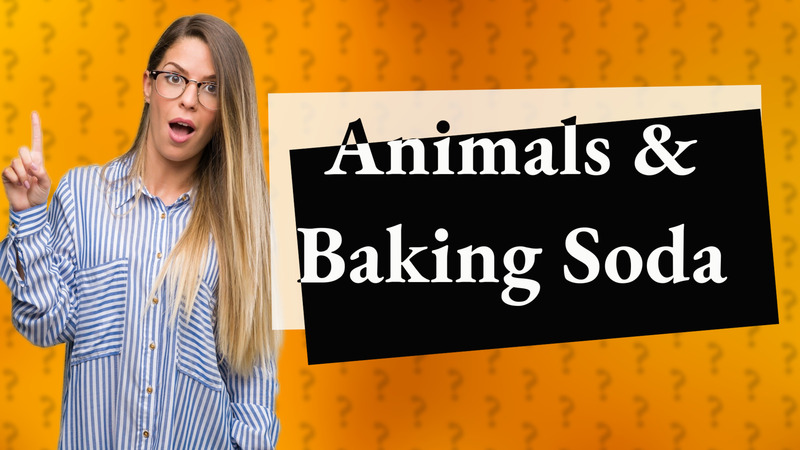 Animals & Baking Soda