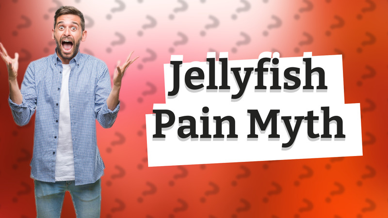 Jellyfish Pain Myth