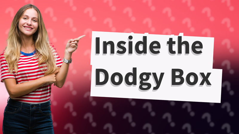 Inside the Dodgy Box