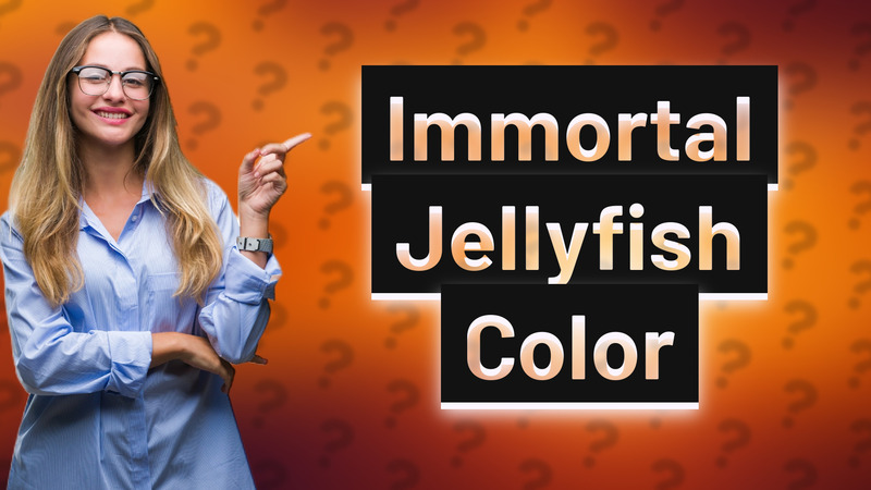 Immortal Jellyfish Color