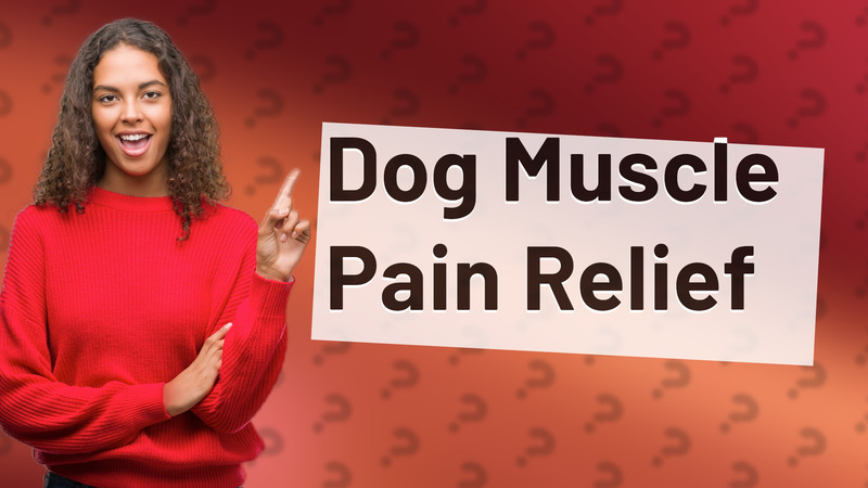 Dog Muscle Pain Relief