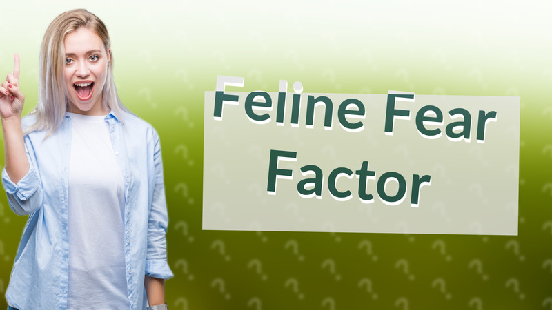 Feline Fear Factor