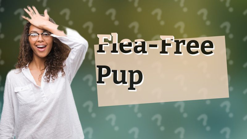 Flea-Free Pup