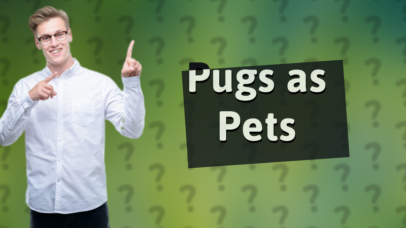 Pugs as Pets