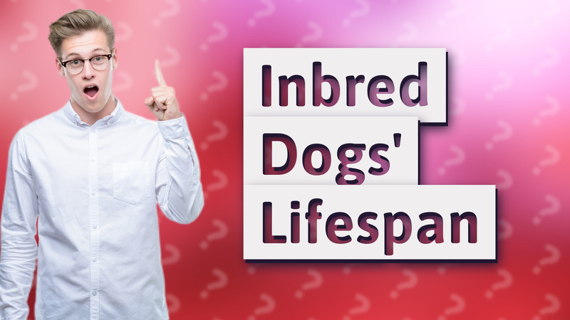 Inbred Dogs' Lifespan