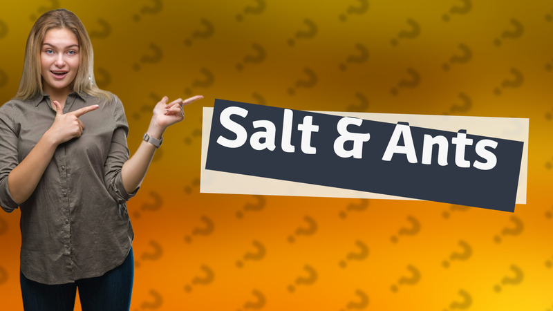 Salt & Ants