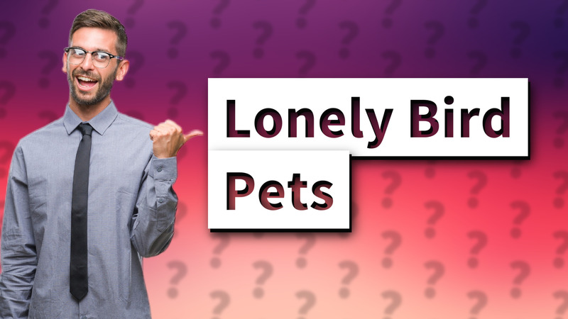 Lonely Bird Pets