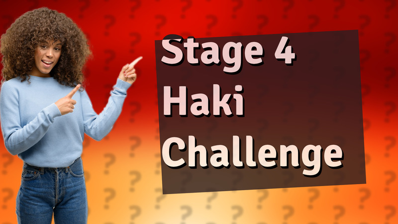 Stage 4 Haki Challenge