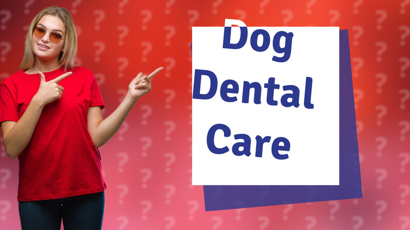 Dog Dental Care