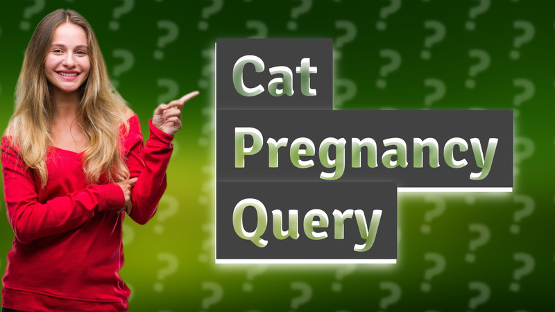 Cat Pregnancy Query