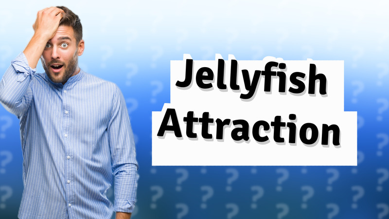 Jellyfish Attraction