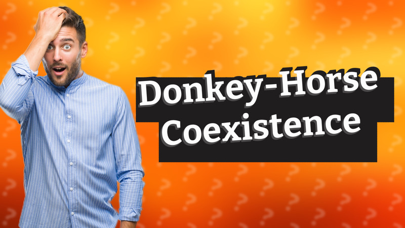 Donkey-Horse Coexistence