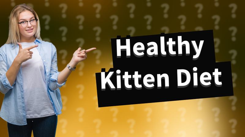Healthy Kitten Diet