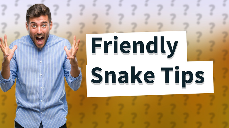 Friendly Snake Tips