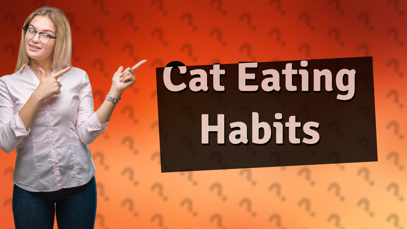 Cat Eating Habits