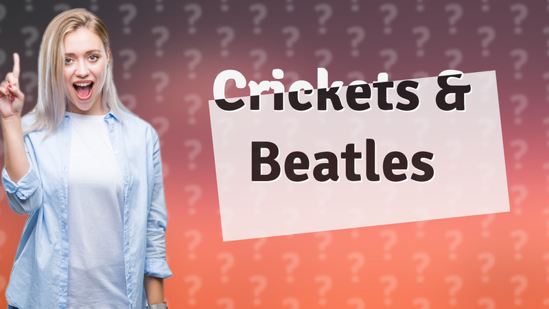 Crickets & Beatles