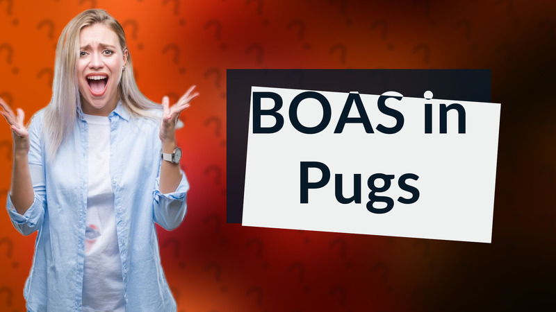 BOAS in Pugs