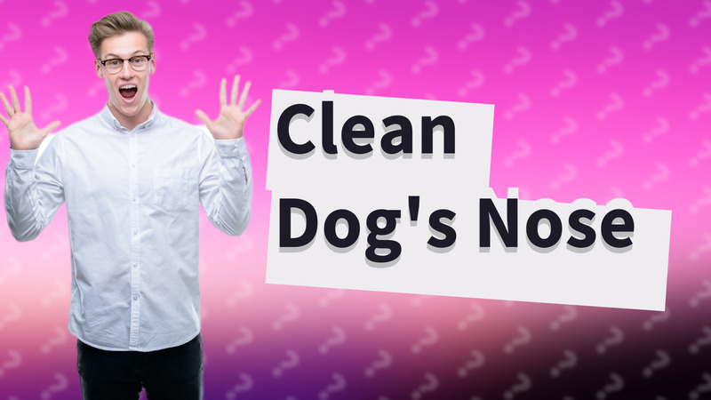 Clean Dog's Nose