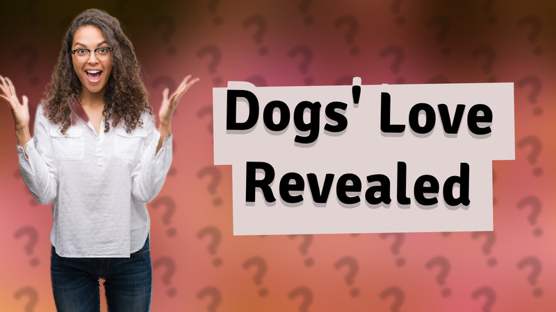 Dogs' Love Revealed